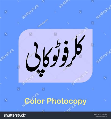 meaning of copy in urdu